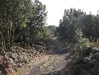 rruggeri-201011121 068